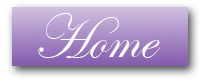 home button